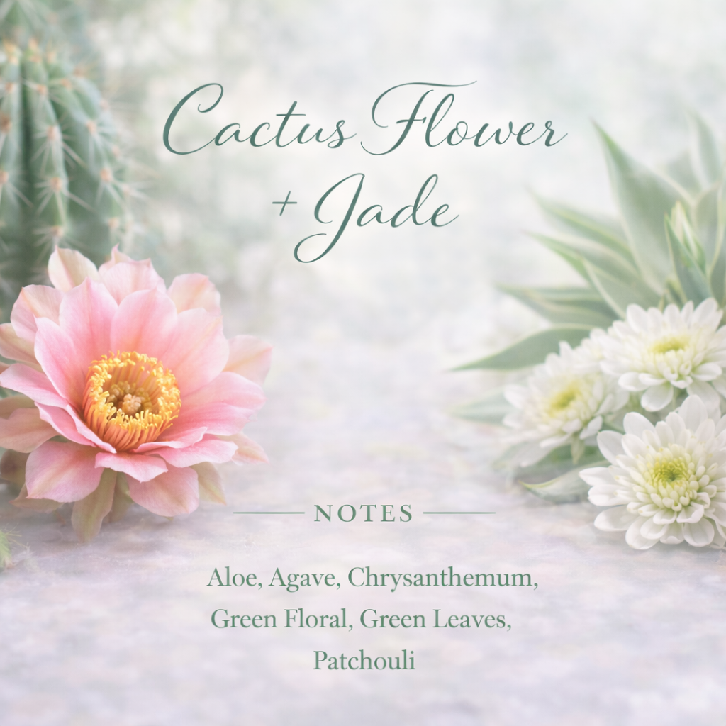 Cactus Flower + Jade